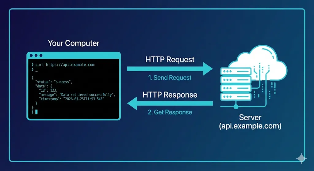 cURL to Server Flow